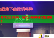 跨境出口電商一站式開店平臺(tái)功能全解析