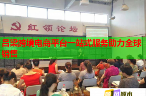 呂梁跨境電商平臺一站式服務(wù)助力全球銷售