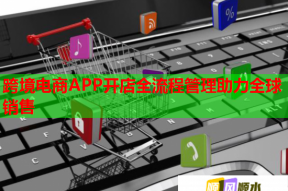跨境電商APP開店全流程管理助力全球銷售