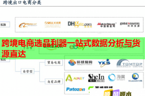 跨境電商選品利器一站式數據分析與貨源直達