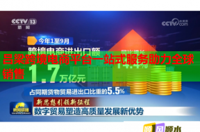 呂梁跨境電商平臺一站式服務(wù)助力全球銷售