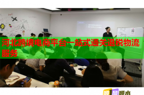 河北跨境電商平臺一站式通關(guān)退稅物流服務(wù)