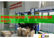 跨境電商開(kāi)店利器一站式管理全球銷(xiāo)售平臺(tái)(1)