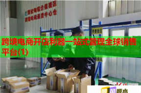 跨境電商開店利器一站式管理全球銷售平臺(tái)(1)