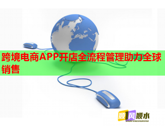 跨境電商APP開店全流程管理助力全球銷售  第2張