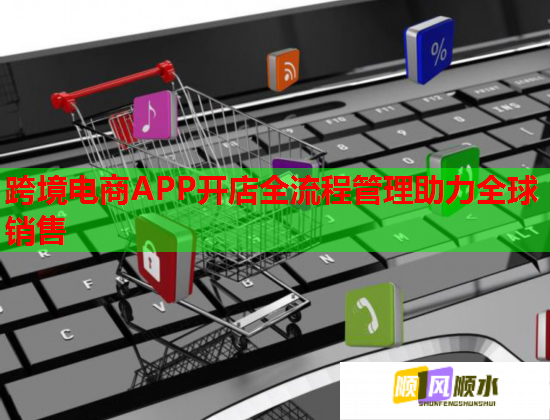 跨境電商APP開店全流程管理助力全球銷售  第1張