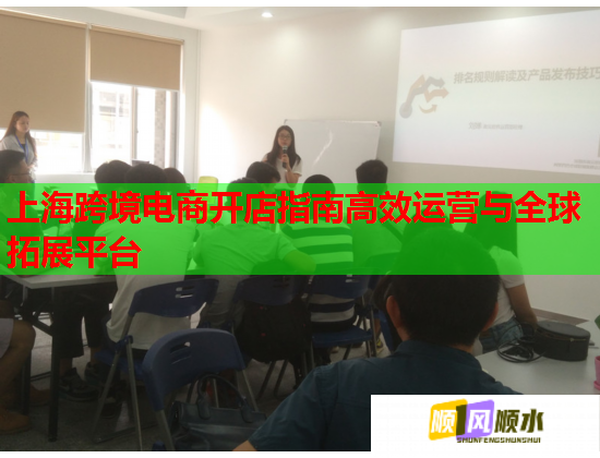 上海跨境電商開(kāi)店指南高效運(yùn)營(yíng)與全球拓展平臺(tái)  第1張