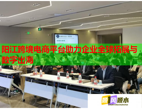 陽江跨境電商平臺助力企業全球拓展與數字出海  第1張