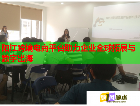 陽江跨境電商平臺助力企業全球拓展與數字出海  第2張